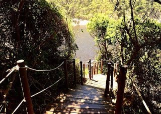 Stairs Storms River Mouth Bridge Trail Garden Route South Africa