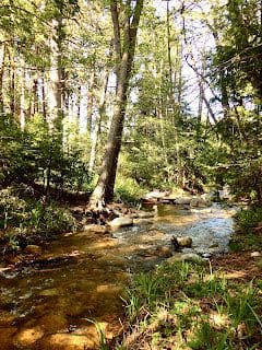 Strawberry Creek Idyllwild