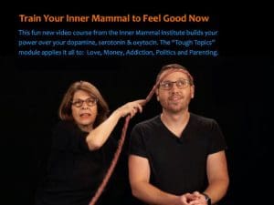 Train Your Inner Mammal To Feel Good Now &Raquo; Traininnermammal