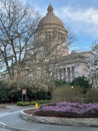 Capitol Early Lavender IMG_2034