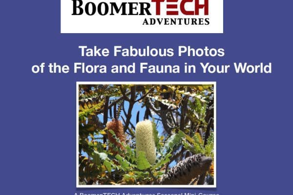 Take Fabulous Photos Of The Flora &Amp; Fauna In Your World &Raquo; Fabphotos