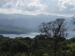 Linda Ballou Shares Highlights, Photos Of Her Recent Adventure To Costa Rica – Land Of Divine Diversity &Raquo; Lake Arenal With Tree In The Foreground Medium Large 2 300X225 1