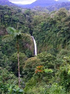 Linda Ballou Shares Highlights, Photos Of Her Recent Adventure To Costa Rica – Land Of Divine Diversity &Raquo; Waterfall In Arenal Region Largemicke Grayford 225X300 1