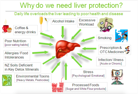 Detoxification And Why It Is Important For Your Health &Raquo; Why Do We Need Liver Protection