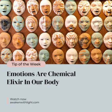 Emotions: The Chemical Elixir &Raquo; 1