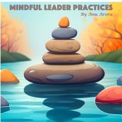 Transformative Leadership: Lessons From Michael Leytem &Raquo; Mindfulleaderpracticeslogo1400