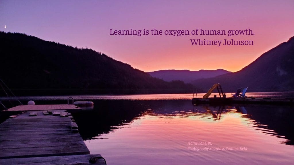 The S Curve Of Learning And The Analogy Of Waterskiing &Raquo; Learning Is The Oxygen.whitneyjohnson 1024X576 1