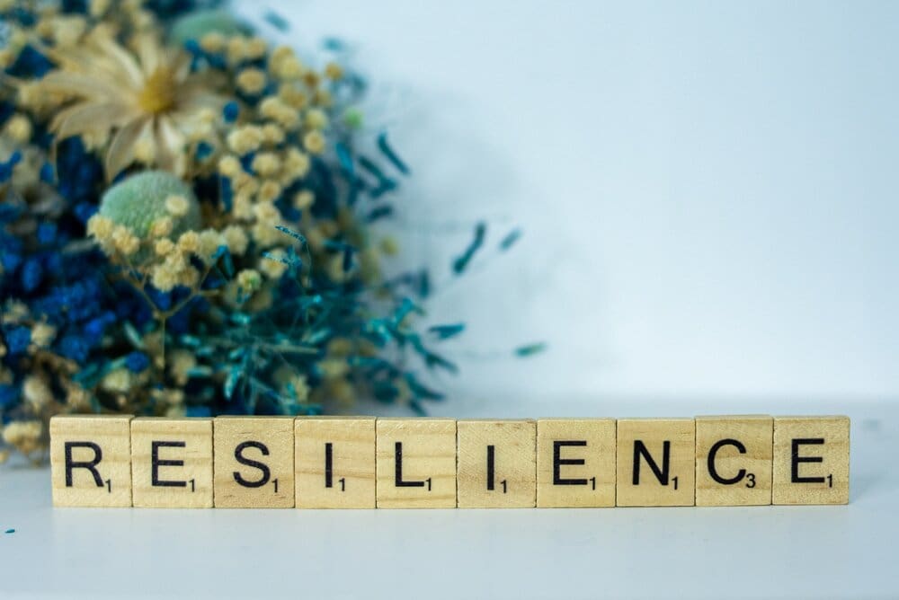 Mastering Resilience: What We Can Learn From Price Pritchett'S &Quot;Hacking Uncertainty&Quot; &Raquo; Image Asset 15