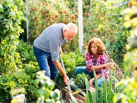 Gardening For Seniors &Raquo; Planning