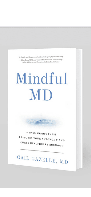 Physician'S Compass: Pragmatic Mindfulness For Authentic Well-Being With Dr. Gail Gazelle, Md &Raquo; Bookcoverforgailgazelle2023Draft