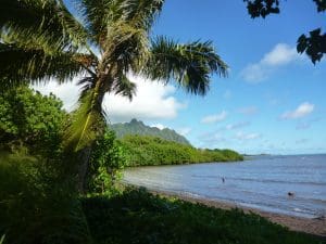 Linda Ballou Recommends You Take A Walk On Kaua’i’s Wild Side &Raquo; Best Back Of Hanalei Bay With Napali Coastlinda Ballou 300X225 1