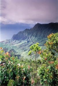 Linda Ballou Visits Po‘ipū And Is Sunny Side Up On Kaua‘i &Raquo; Kalalau Lookout Hta Kirk Lee Aeder 00045 Small 2 201X300 1