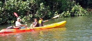 Linda Ballou Shares Her Adventures On The Coconut Coast Of Kaua’i &Raquo; Kayak Wai Lua River Linda Ballou9 300X135 1