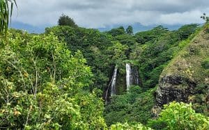 Linda Ballou Shares Her Adventures On The Coconut Coast Of Kaua’i &Raquo; Wailua River Valley Best Linda Ballou 300X187 1