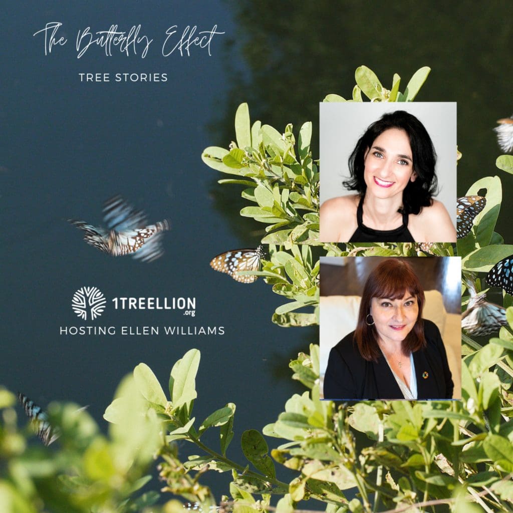 Episode 67 / The Butterfly Story Of Sustainable Companies &Amp; Sustainable Consumers Hosting Ellen Williams &Raquo; 6396890 1697061937454 242F0F9965Fe1