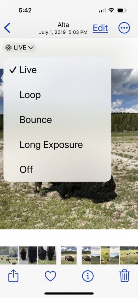 Three Cool Things To Try With Your Iphone Camera &Raquo; Options 473X1024 1