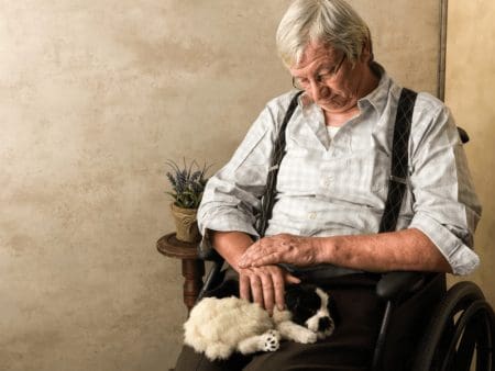 5 Benefits Of Owning Pets For Seniors &Raquo; Owning Pets
