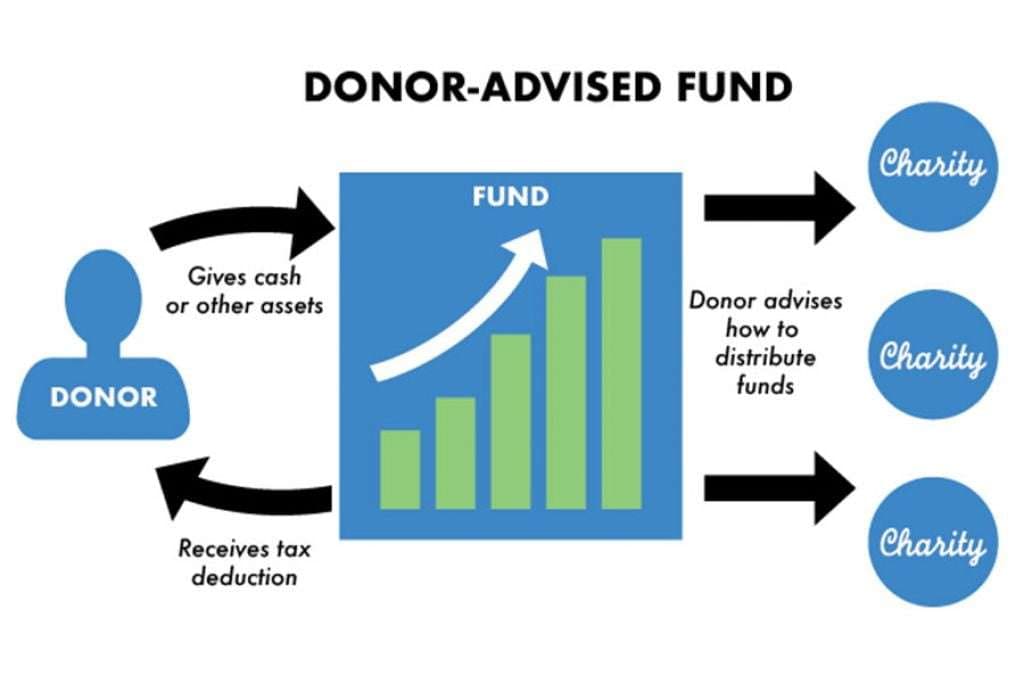 Donor Advised Funds Graphic