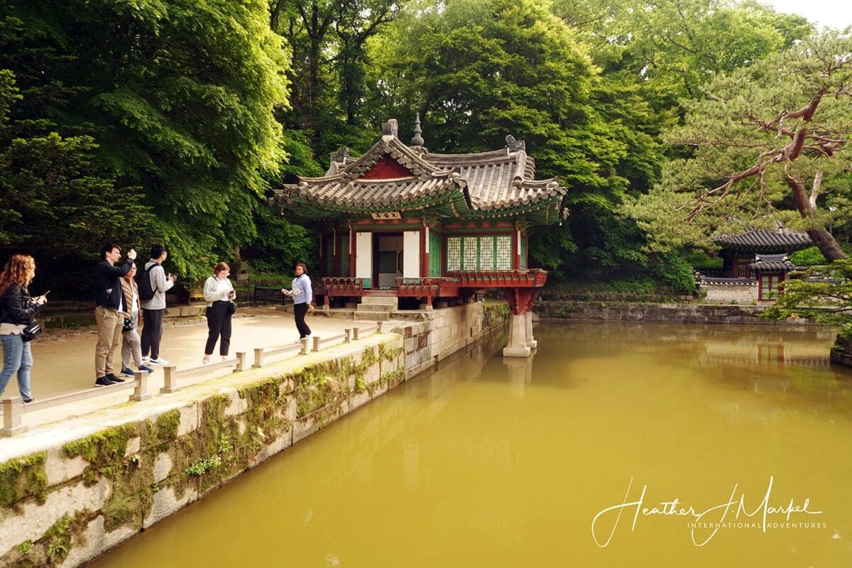 7 Activities You Shouldn’t Miss In Seoul &Raquo; Secret Garden