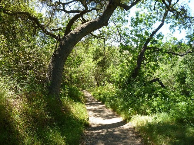 Linda Ballou Shares Her Best Tips For Enjoying A Successful Walking Holiday – And Why She Calls Them A “Boomer Balancing Act” &Raquo; Ranch Trail Fr Linda Ballou