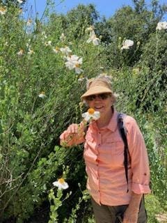 Linda Ballou Shares Her Best Tips For Enjoying A Successful Walking Holiday – And Why She Calls Them A “Boomer Balancing Act” &Raquo; Taking Sow Walks Linda Ballou