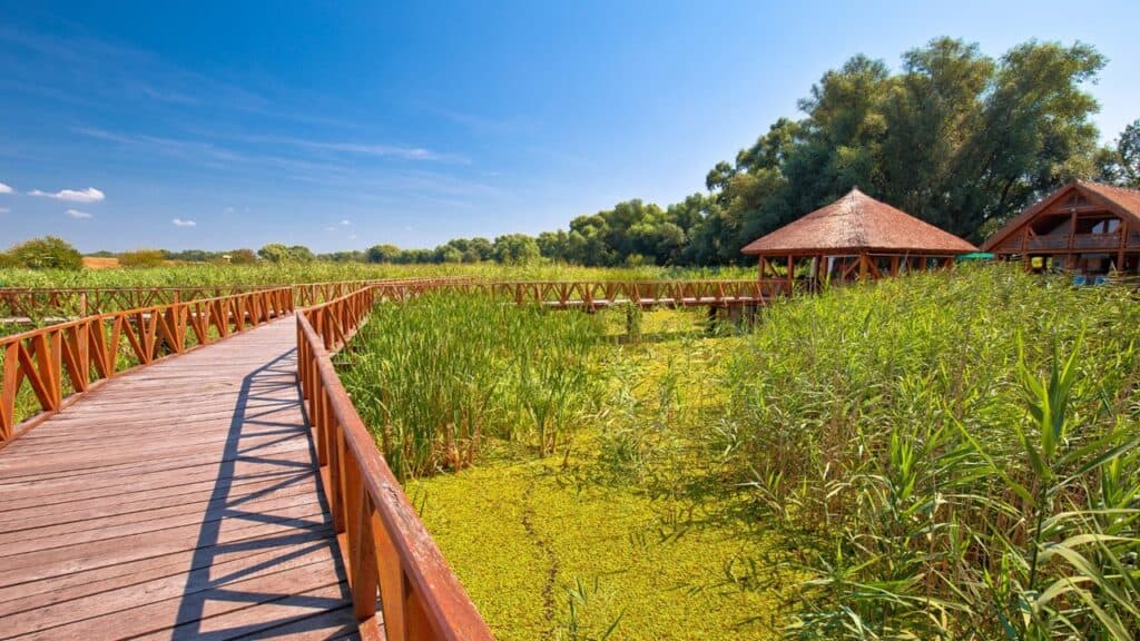 Kopački Rit Nature Park