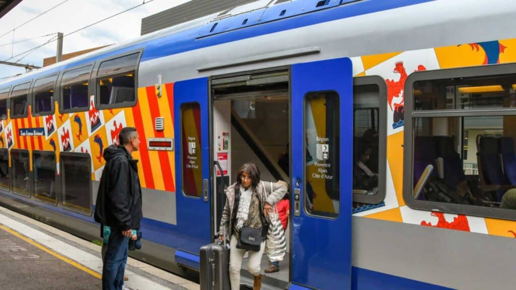 People Using Local Train