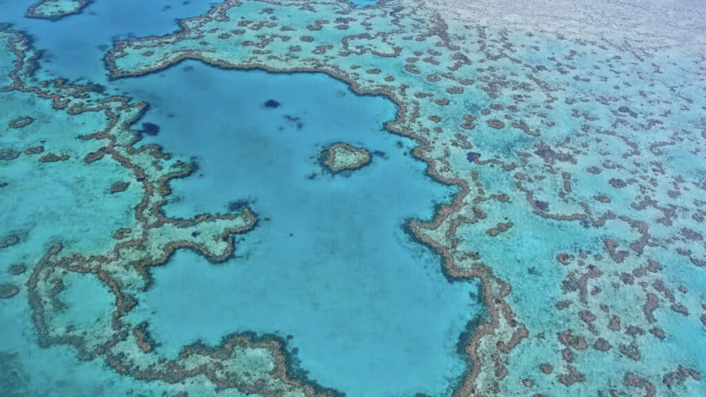 The Great Barrier Reef