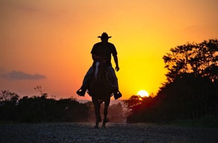 Explore 5 Cowboy-Famous States In The Us &Raquo; Cowboy2