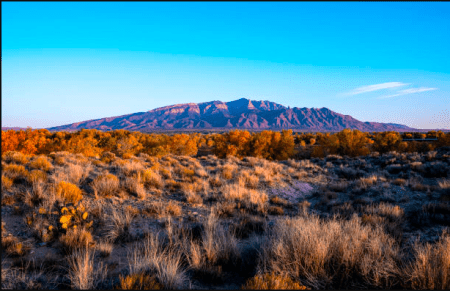 New Mexico: 5 Reasons It Might Not Be Your Dream Destination &Raquo; New Mexico1