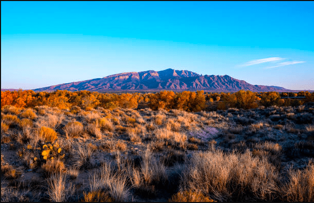 New-Mexico-5-Reasons-It-Might-Not-Be-Your-Dream-Destination