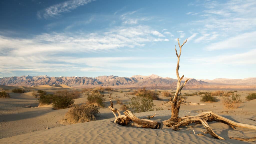 Death Valley