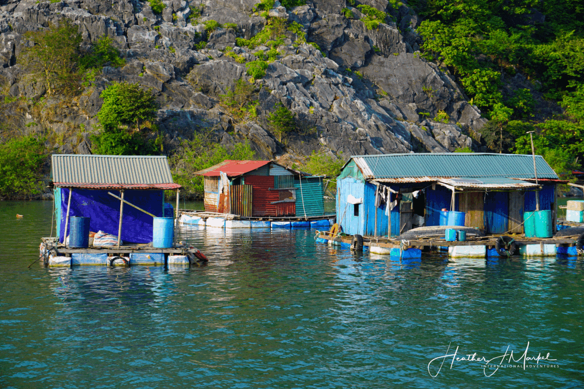 House Boats In Halong Bay, Vietnam