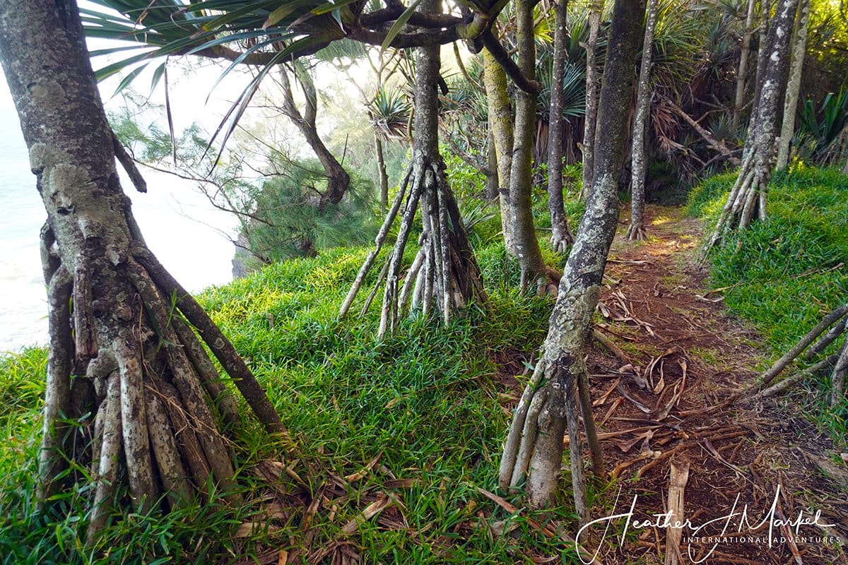 Reunion Island – Paradise In The Indian Ocean &Raquo; Beach Walk 1