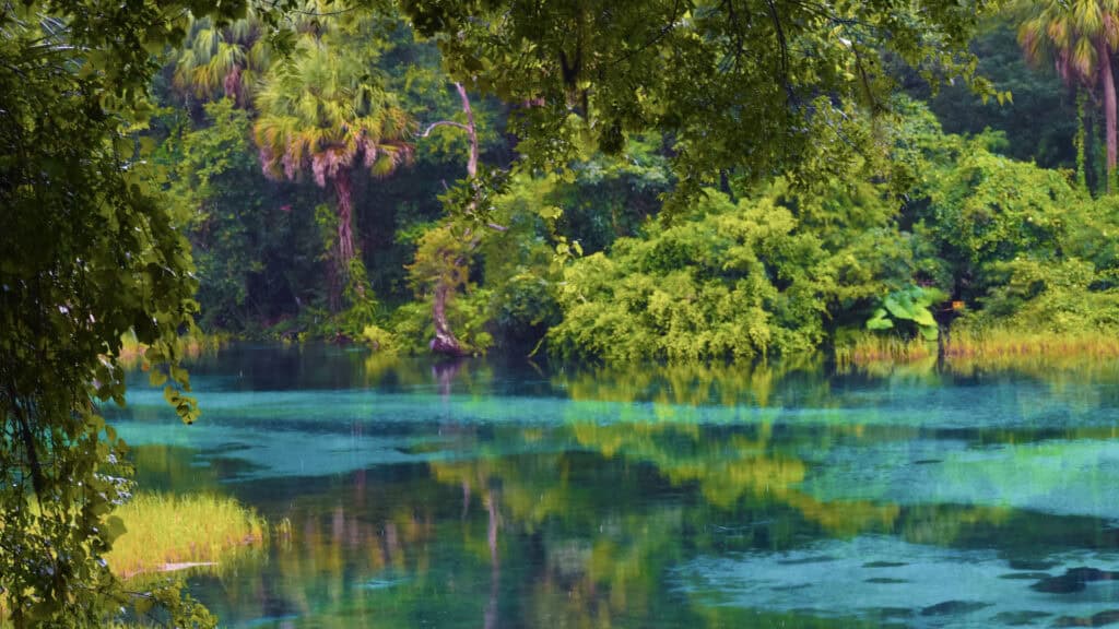 Rainbow River In Dunnellon