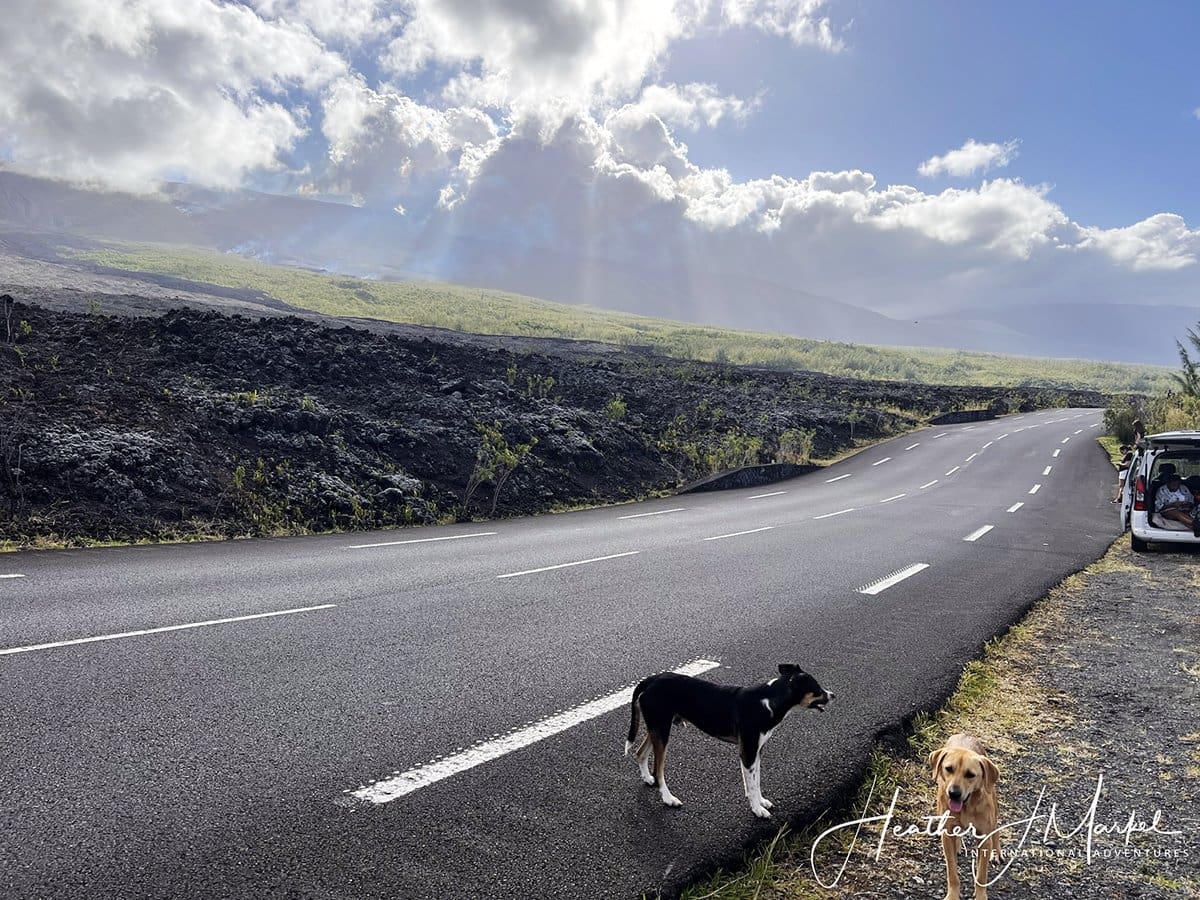 La Route Des Laves