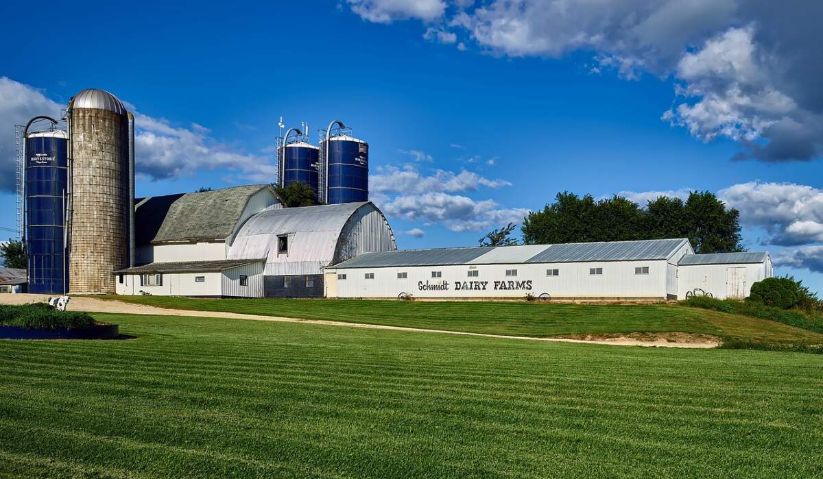 Dairy Farm Factory