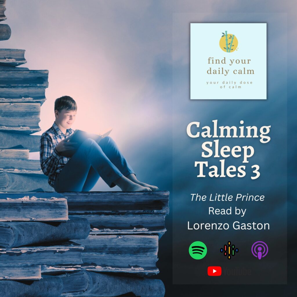 Calming Sleep Tales- The Little Prince &Raquo; 668F2Fb6 799D 4085 A7F6 7B5Ee532A8Ba Calming Sleep Tales 3