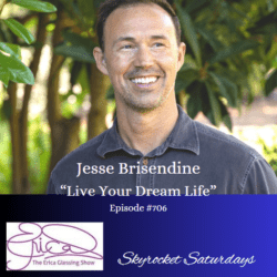 The Erica Glessing Show #737 Feat. Shawn Jenkins &Quot;Lj'S Influence: A Young Man'S Quest To Conquer Diabetes Ii For His Family&Quot; &Raquo; The Erica Glessing Show Jesse Brisendine 706