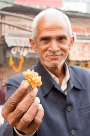 Culinary Journeys: Savoring Authentic Flavors From Local Markets &Raquo; Man Offering Me Marigold At Spice Market Old Delhi India Copyright 2016 Ralph Velasco 683X1024 1