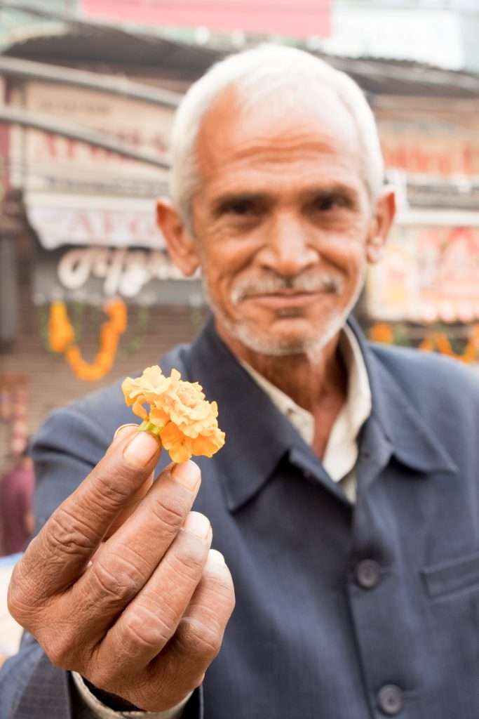 Culinary Journeys: Savoring Authentic Flavors From Local Markets &Raquo; Man Offering Me Marigold At Spice Market Old Delhi India Copyright 2016 Ralph Velasco 683X1024 1