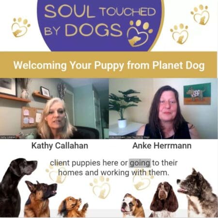 Kathy Callahan - Welcoming Your Puppy From Planet Dog &Raquo; Oge5Zi5Kuec