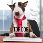 Top Dog-Deborah Johnson