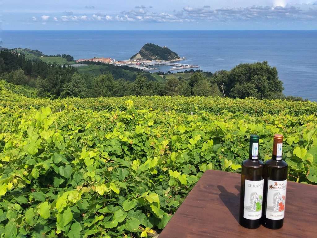 Culinary Journeys: Savoring Authentic Flavors From Local Markets &Raquo; Wine Bottles And Scenery At Elkano Winery Getaria Spain Copyright 2019 Ralph Velasco 1024X768 1