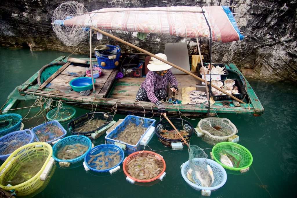 The Art Of Slow Travel: Embracing The Journey Over The Destination &Raquo; Woman Selling Fresh Seafood Outside Cave In Halong Bay Halong Bay Vietnam Copyright 2015 Ralph Velasco 1024X684 1