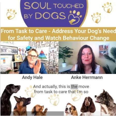 Andy Hale - From Task To Care - Address Your Dog'S Need For Safety And Watch Behaviour Change &Raquo; Zgixzs5Kuec