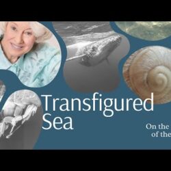 The David Watson Podcast #138 Transfigured Sea And Everything Underneath &Raquo; Hqdefault 49