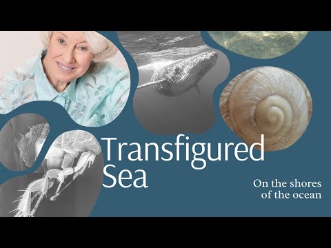 Transfigured Sea And Everything Underneath &Raquo; Hqdefault 49