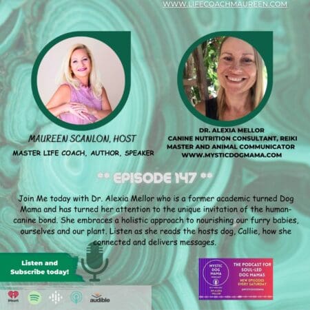 Mystic Dog Mama Shares The Gift Of Animal Communication-Guest Alexia Mellor- Episode 147 &Raquo; 3Ed19Af97B347Af6Ecd3Fe1Ddbbfc623