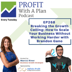 Ep268: Breaking The Growth Ceiling: How To Scale Your Business Without Working Harder - Brandon Gano &Raquo; Ep268 Bf32S9